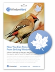 stop birds hitting windows - Maple Leaf decal for windows
